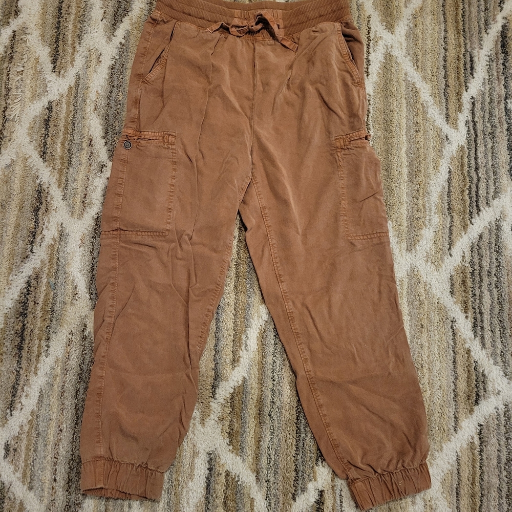 Aerie joggers